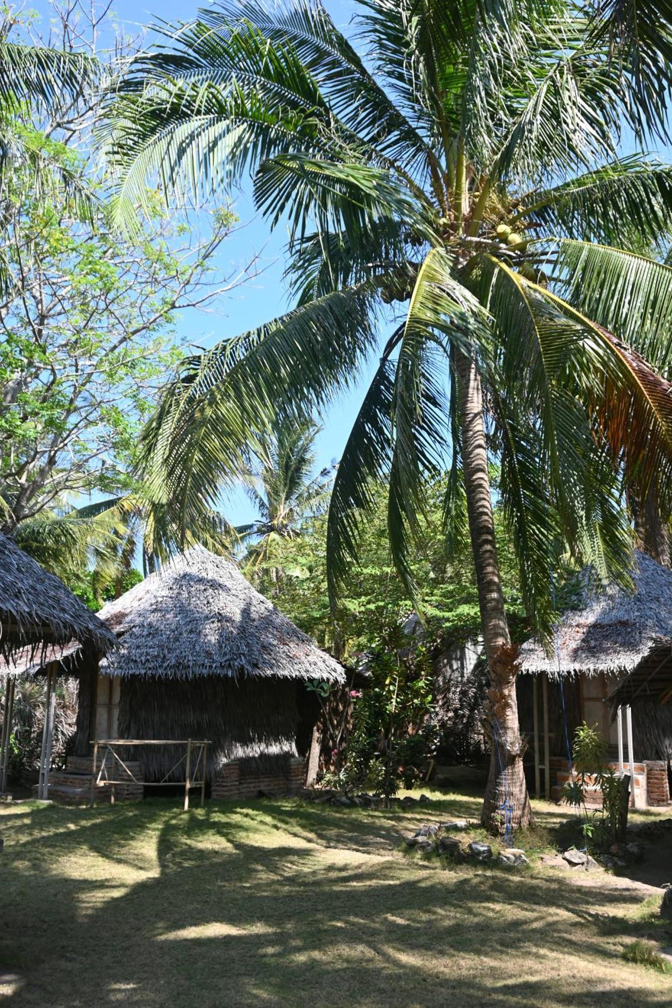 Vila Bunga Jabe Karimunjawa Exteriér fotografie